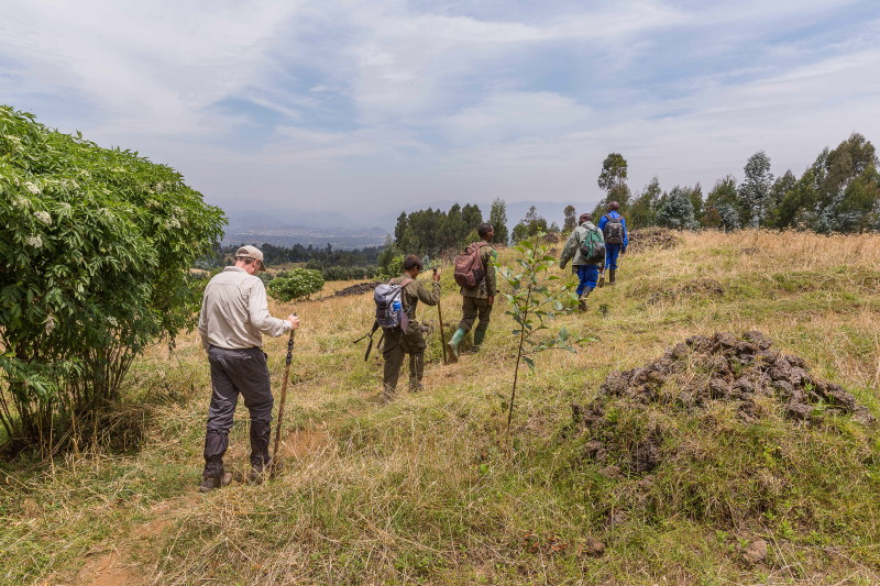 59 Rwanda, Volcanoes NP.jpg